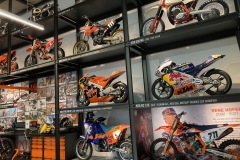 IMG_1181