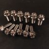 RS660 - Front Rotor Bolts - Pack of 12 Titanium - Image 3